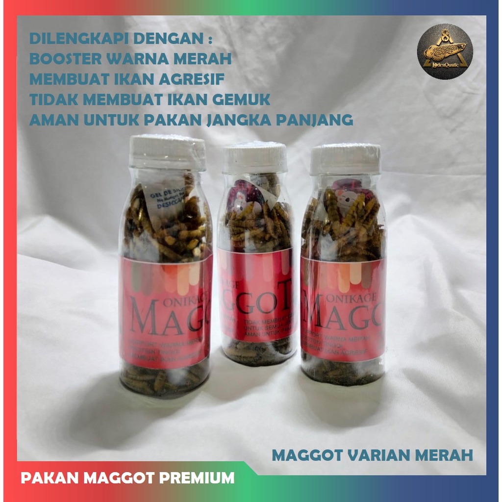 SPESIAL ! MAGGOT KERING PAKAN PREMIUM CHANNA BOOSTER WARNA IKAN CHANNA MAGGOT KERING CHANNA PAKAN IKAN CHANNA PELET CHANNA PAKAN IKAN PREDATOR MAGGOT KERING MERAH KUNING BIRU BOOSTER WARNA IKAN CHANNA PAKAN IKAN PREDATOR