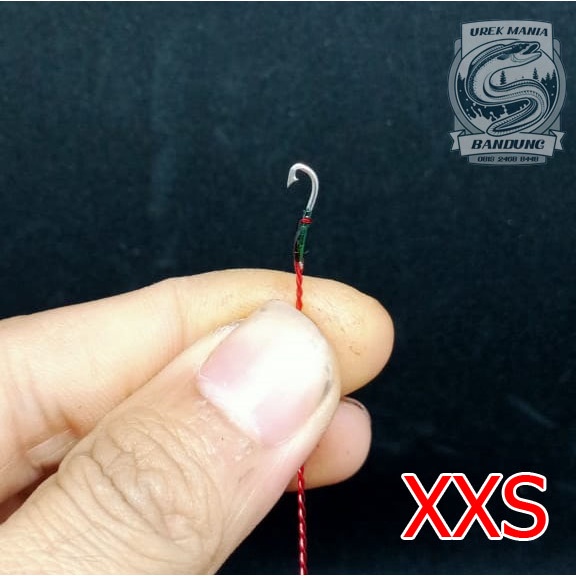 Urek Pancing belut kecil belut sawah