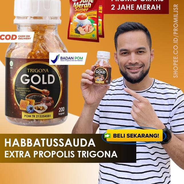 ♛ Habbatussauda Extra Propolis Trigona Gold Habatusauda Original Asli  Kapsul ✈