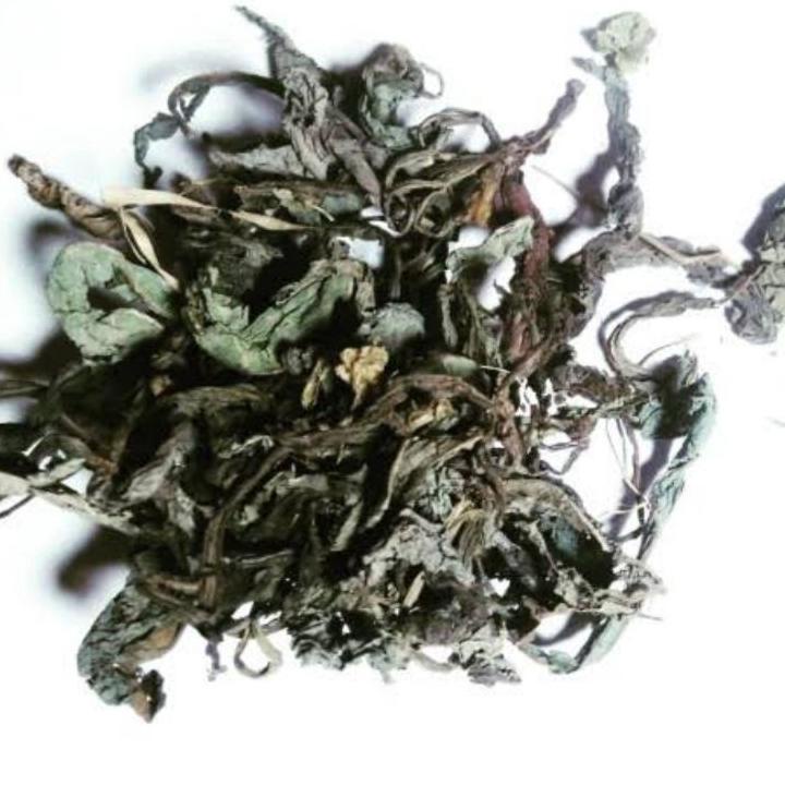 

tempuyung/rempuyung & daun sembung kering alami - ✔