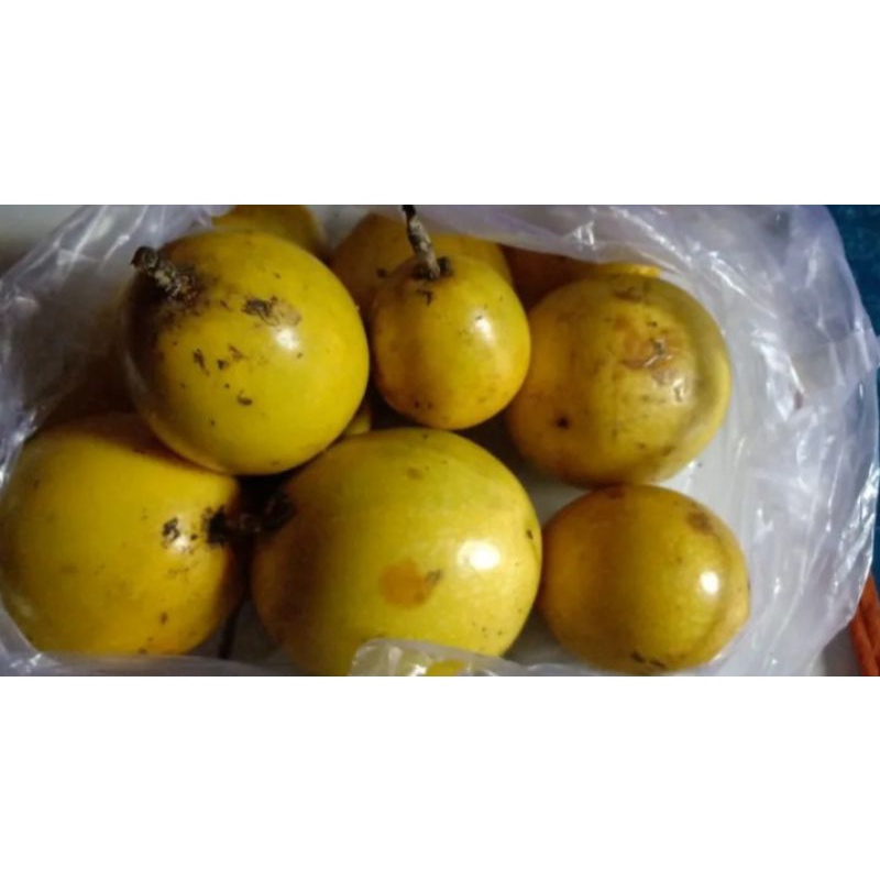 

Buah markisa segar (1kg)