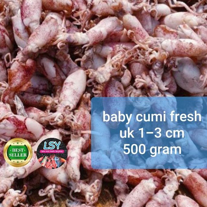

★ ikan asin baby cumi / cumi asin / cumi rebus 78 berat 500gram ☋