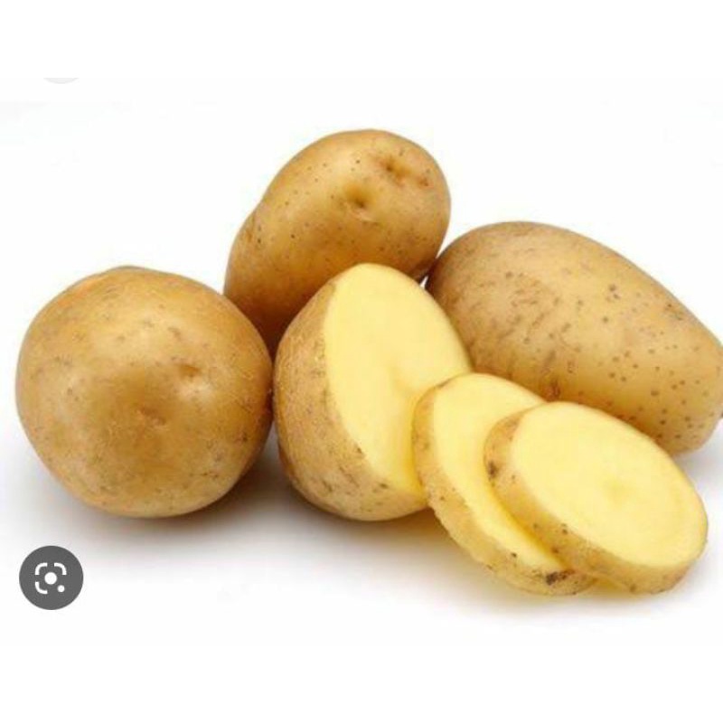 

Kentangmentega