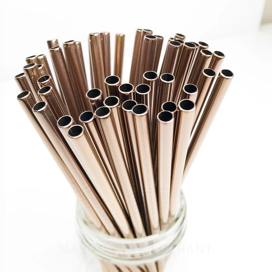 Sedotan Besi Eco Friendly Anti Karat / Stainless Steel Straw Reusable