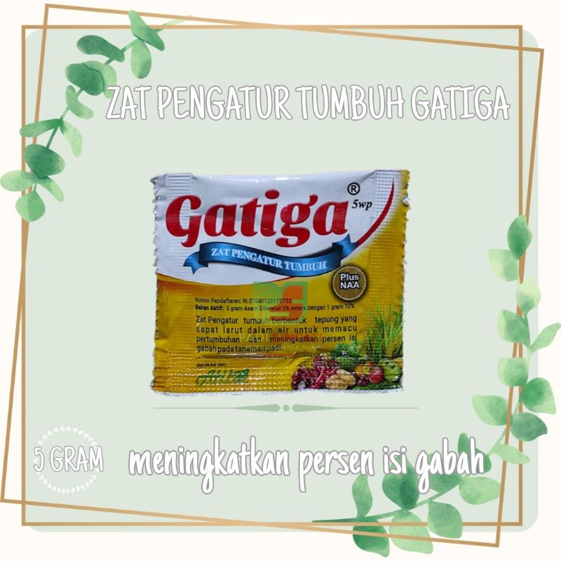 ZPT GA3 Gatiga. Gibberelic Acid 5% kemasan 2gr. zat pengatur tumbuh & pembesar buah/umbi
