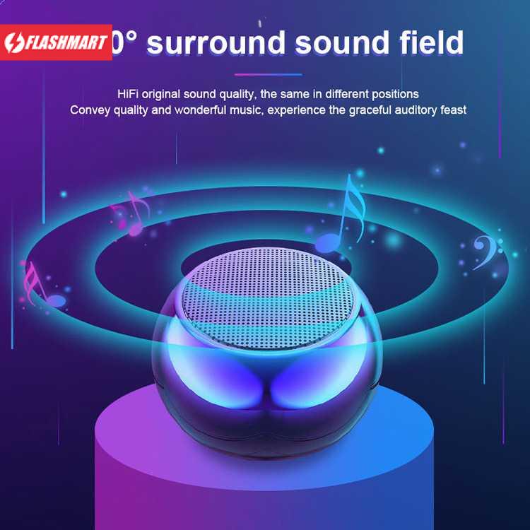 Flashmart Mini Portable Bluetooth Active Speaker Wireless HiFi - Q107