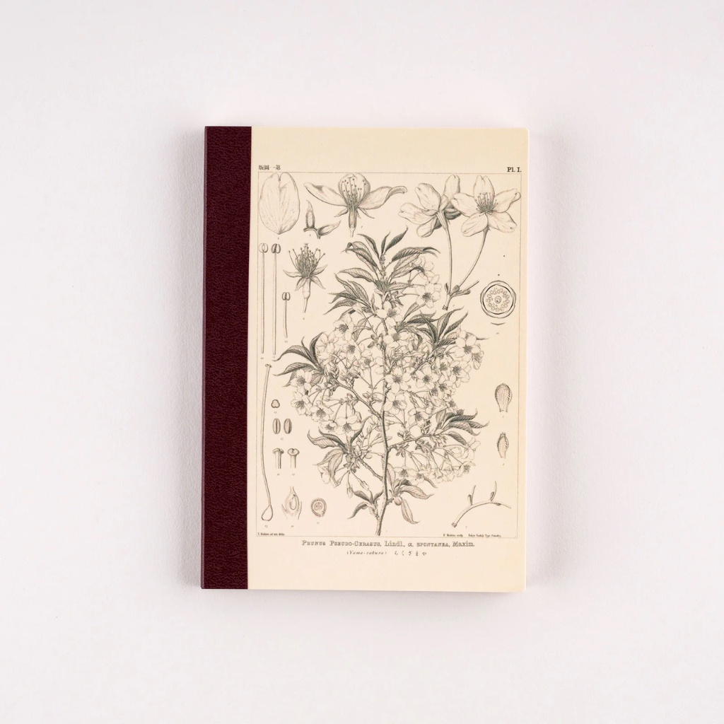 

Hobonichi Plain Notebook Yamazakura by Tomitaro Makino - A6