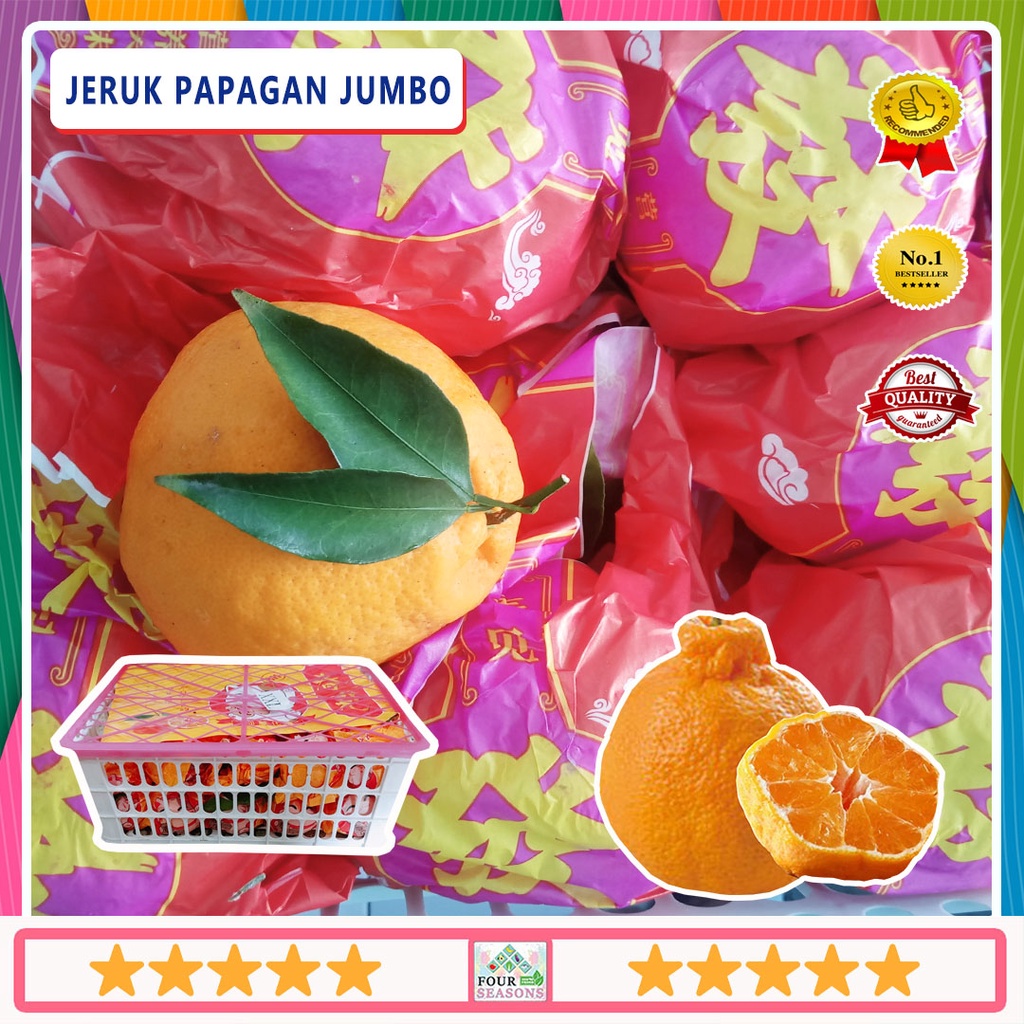 BUAH IMLEK JERUK PAPAGAN / DEKOPON 1 KERANJANG RAJANYA JERUK BAGUS
