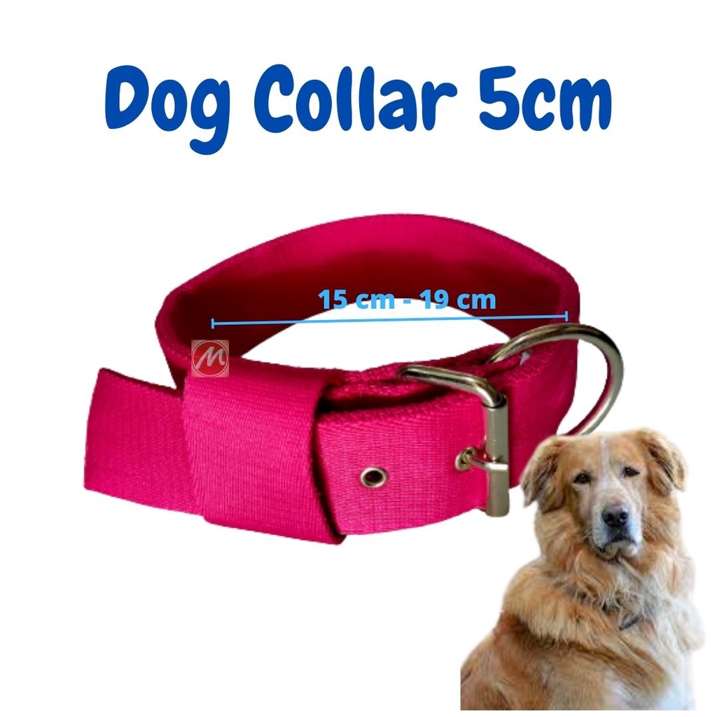 DOG COLLAR ,KALUNG ANJING RAS BESAR