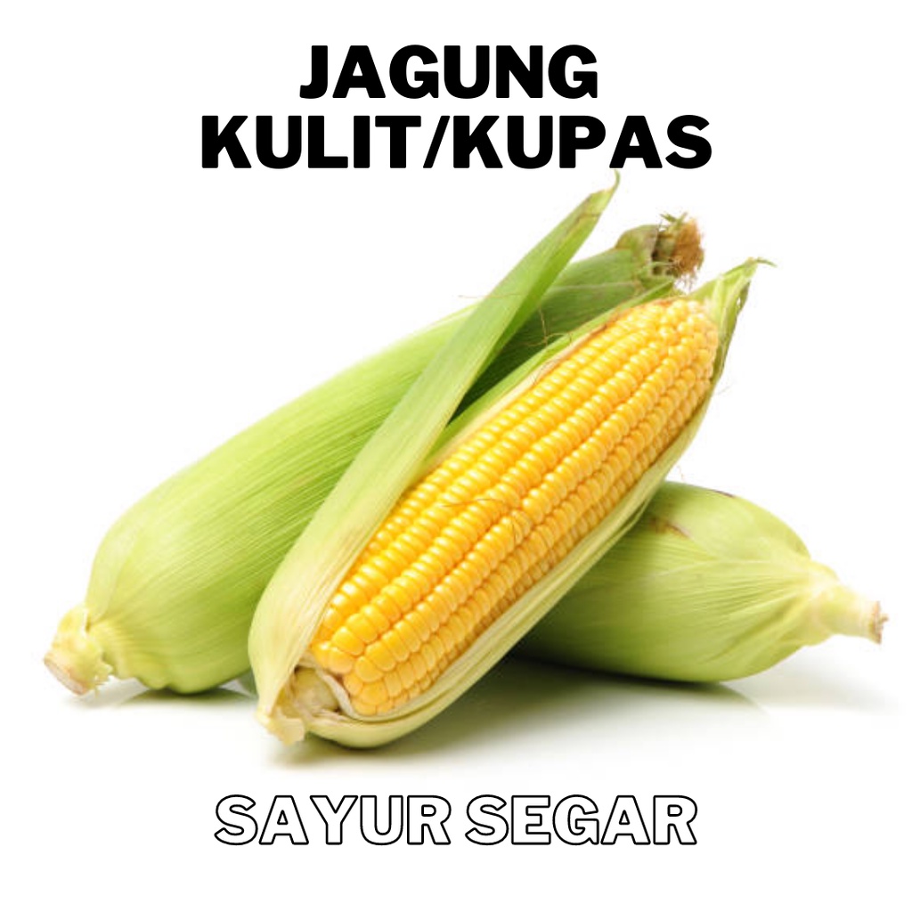 

JAGUNG KULIT/KUPAS