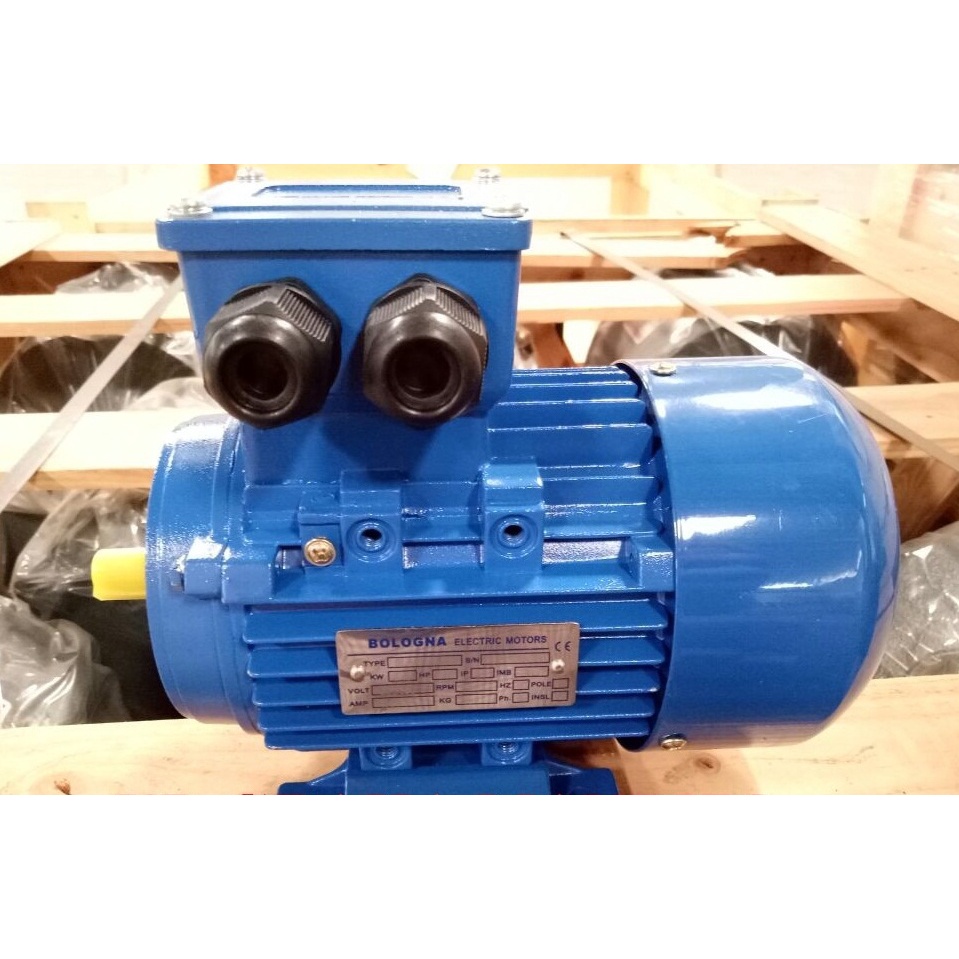 dinamo motor BOLOGNA 0.5hp/0.37kw 3000rpm/2pole B3 foot mounted