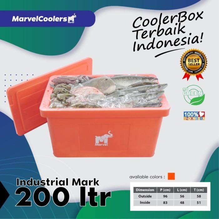 Cooler box 200 220 L Kotak pendingin penyimpanan Seafood Ikan Cool Es