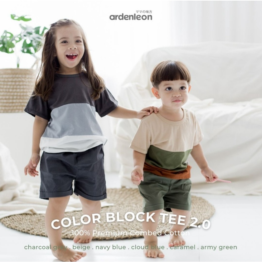Ardenleon Color Block Tee 6M - 7Y Kaos Stripe Mix Color Anak Unisex CBKS