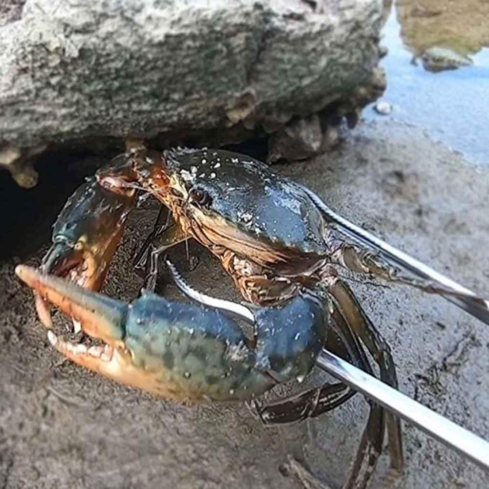 Penjepit Capitan Capit Jepitan Gunting Belut Sawah Kepiting Panjang 52cm 52 cm