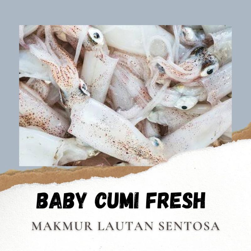 

BABY CUMI SEGAR FRESH UTUH HARIAN NELAYAN