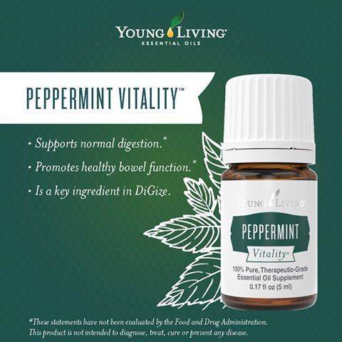 Peppermint Essential Oil 5 ml by Young Living