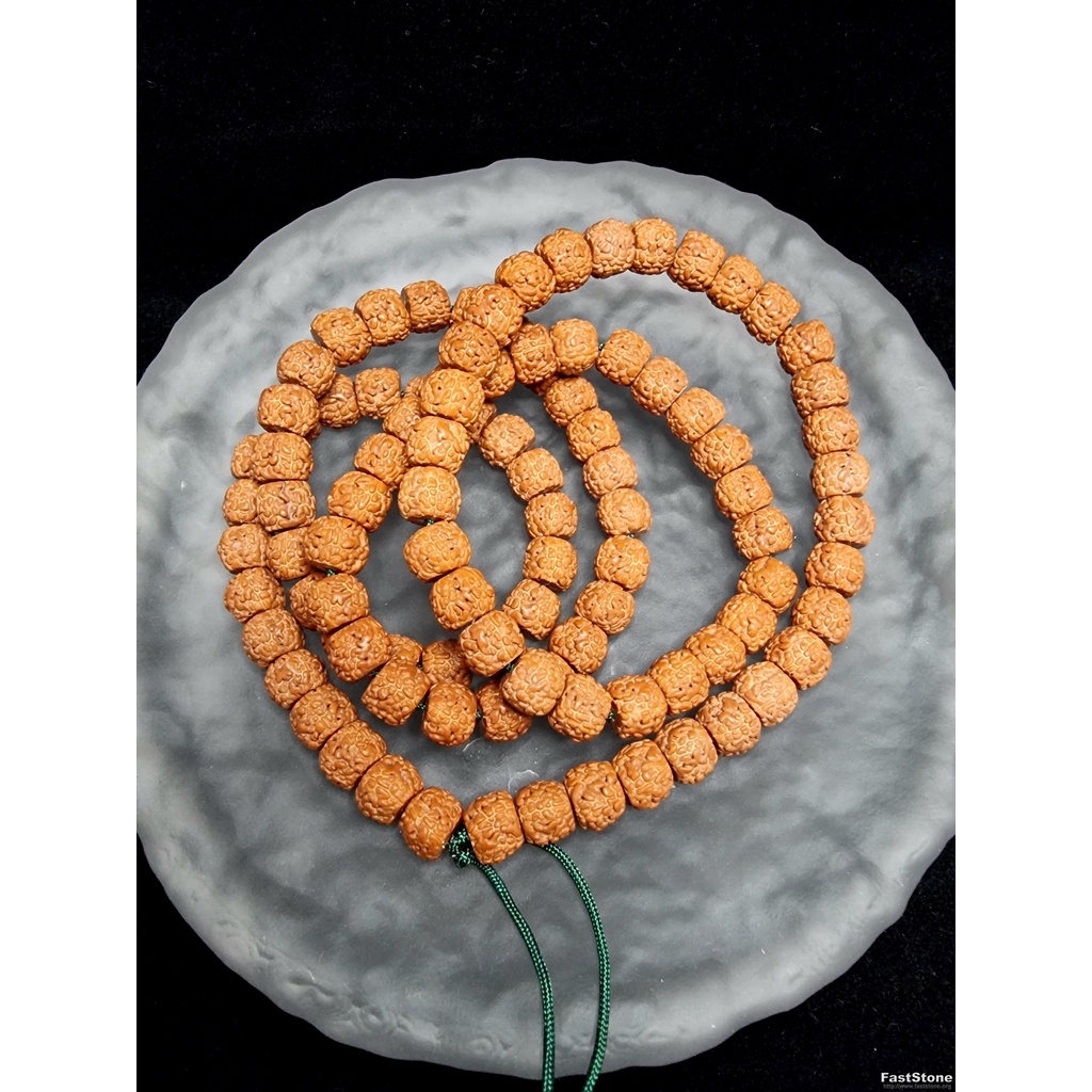 Kalung Tasbih Diamond Bodhi Seed Rudraksha DragonFin Nepal HQ10mm P150
