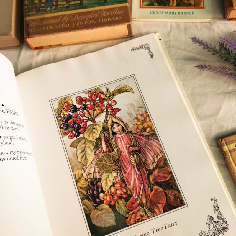 buku flower fairies cicely mary barker