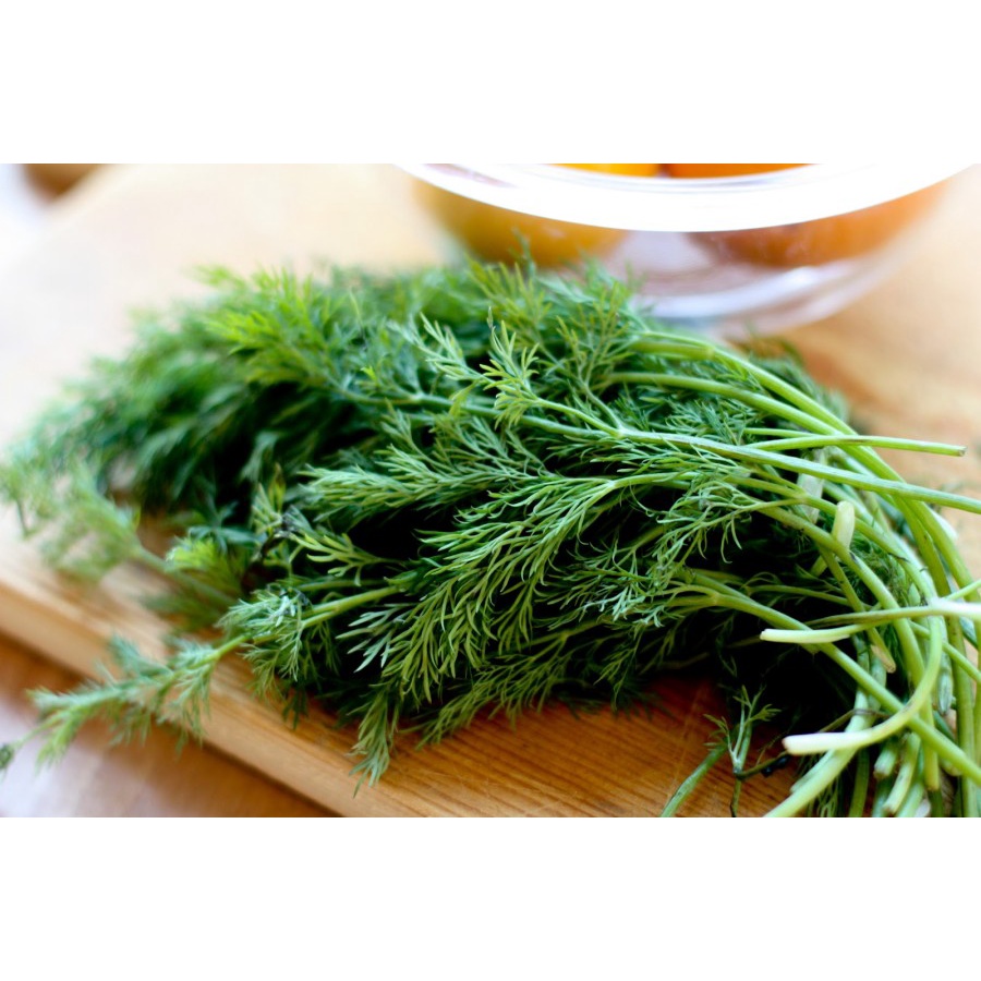 Benih / Bibit / Biji - Daun Dill / Adas Manis / Adas Sowa