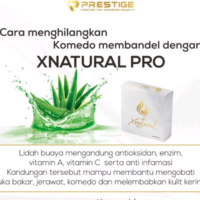 1 BOX SABUN X NATURAL PRO, SABUN HERBAL UNTUK KELUHAN KULIT BERMASALAH