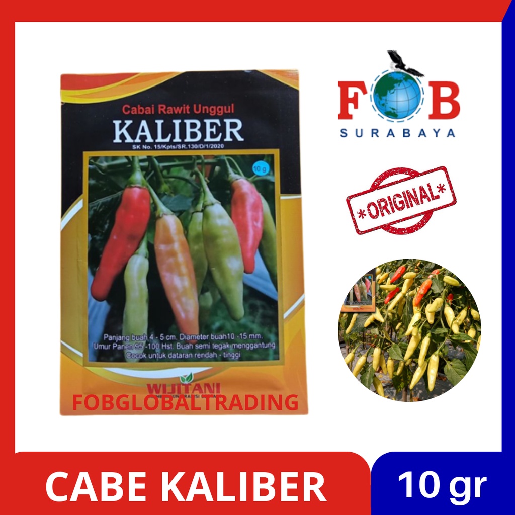 BENIH CABE KALIBER 10 GRAM MEREK WIJI TANI