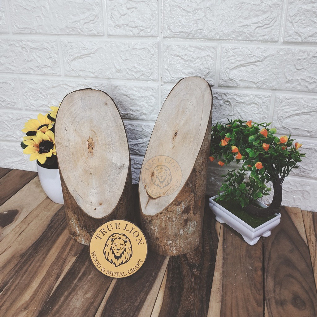WOOD SLICE,POTONGAN KAYU MAHONI
