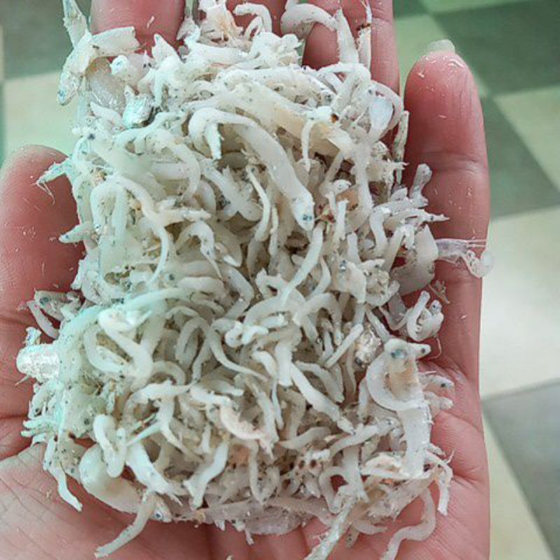 

Teri Medan Ikan teri 1kg