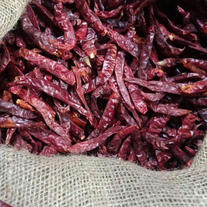 

◌ Cabe merah kering rawit cabe rawit teja super pedas Cabe Teja Ori 1kg tanpa tangkai ☪