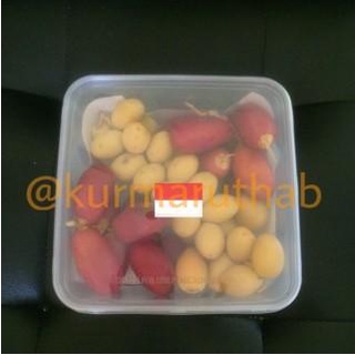 

Kurma Muda Hijau / Kurma Ruthab , Ruthob 500gr (Harga Khusus PO)