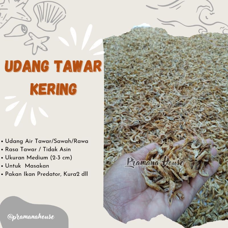 

(100 Gram) Udang Kering Pakan Ikan Channa Predator Udang Tawar Tidak Asin/Sawah/Rawa