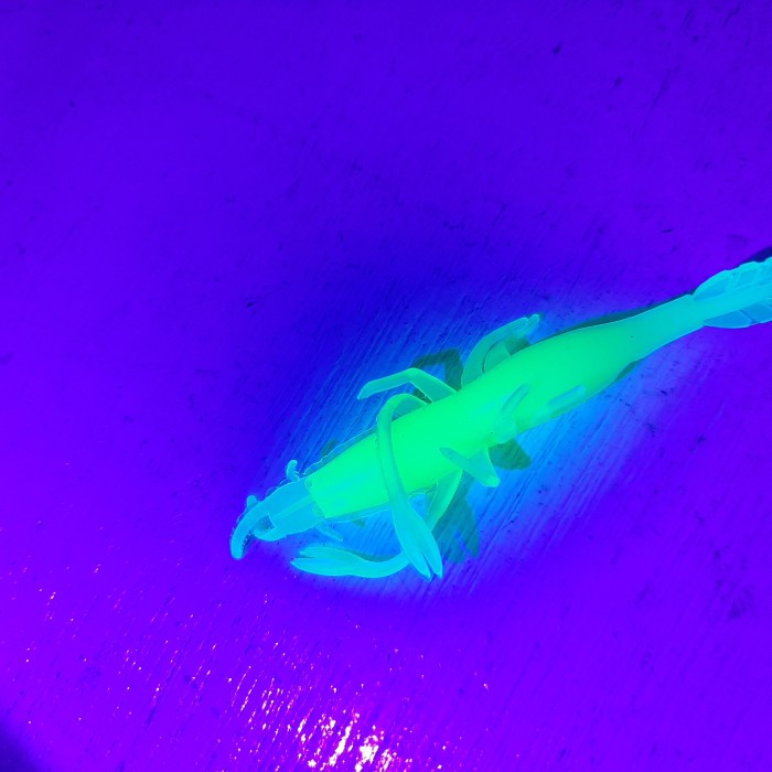 Soft lure udang GID 5cm prawn soft bait lure casting umpan pancing ORIGINAL