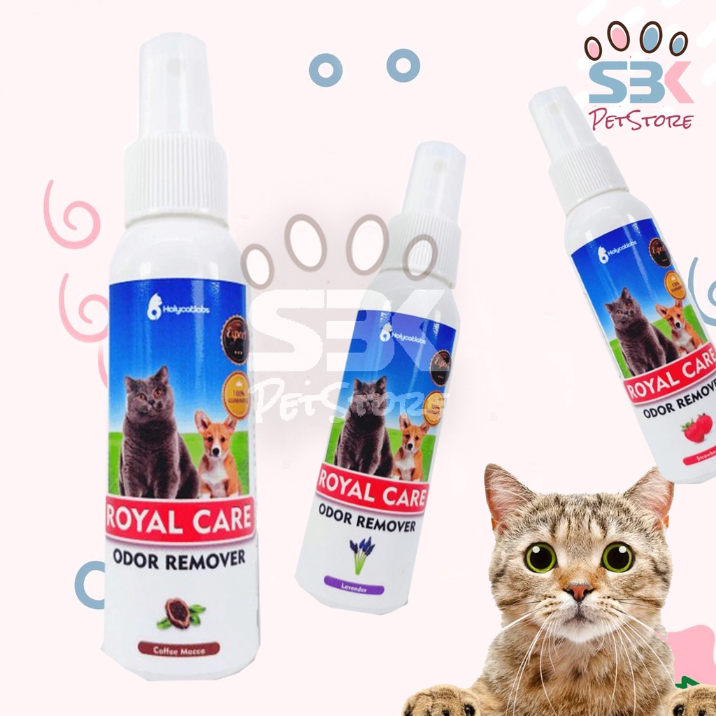 Odor Remover 100ml Penghilang Bau Pesing Kucing