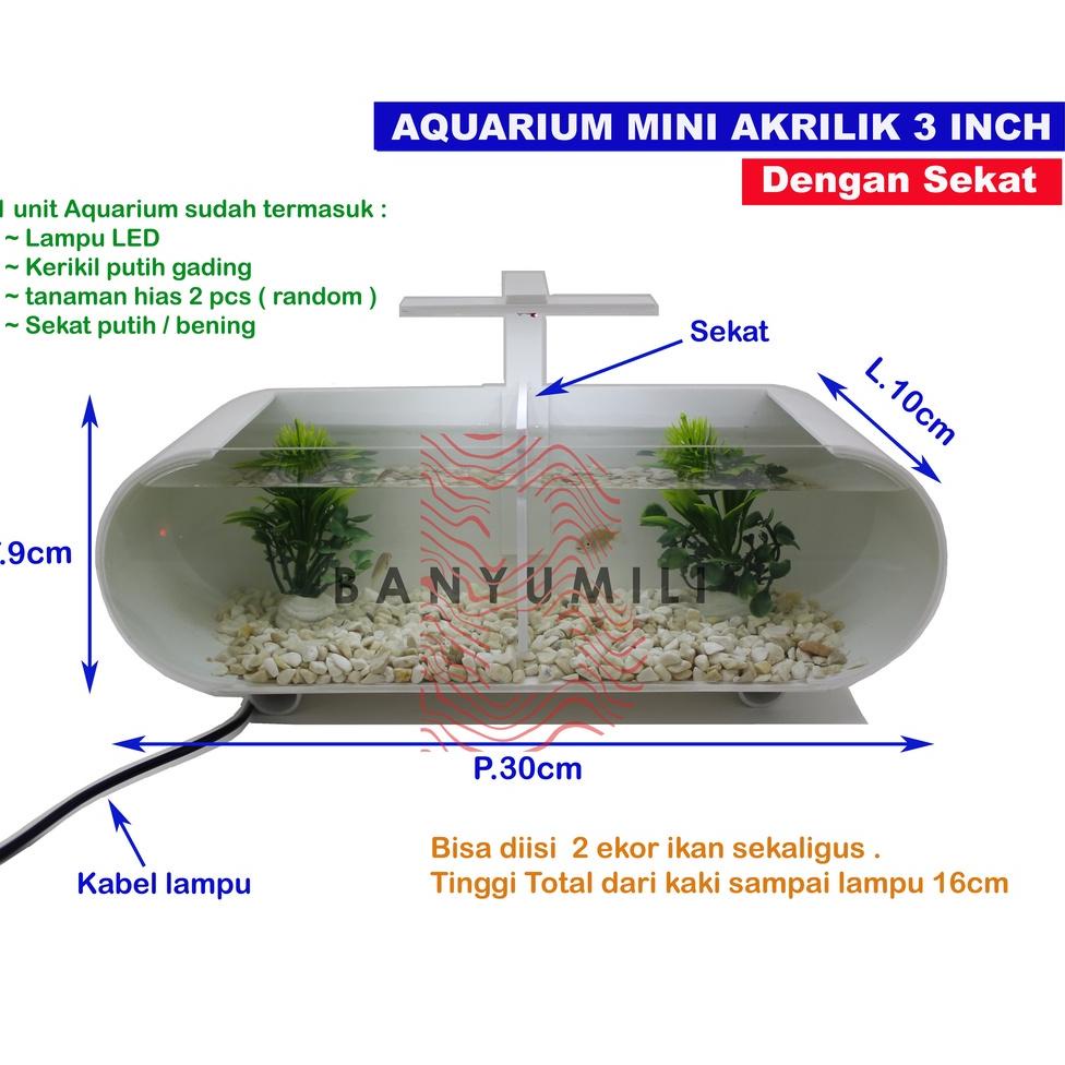SALE TERBATAS aquarium / aquarium mini / aquarium mini + sekat / aquarium akrilik + sekat