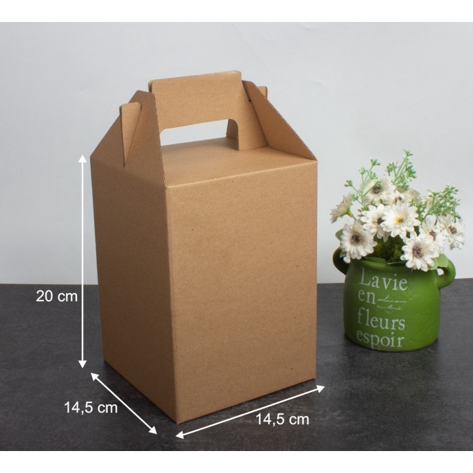 Kardus Tas Jinjing Box Tenteng Dus Die Cut Kotak Kemasan Packaging Parcel Kue Kering Isi 3 Toples 50