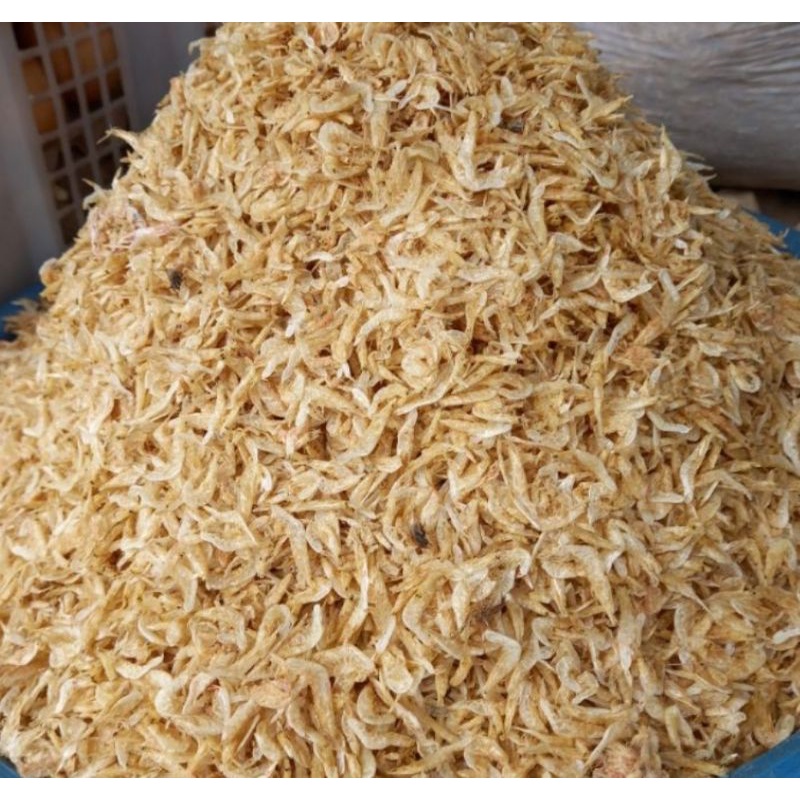 

Udang Rebon Tawar