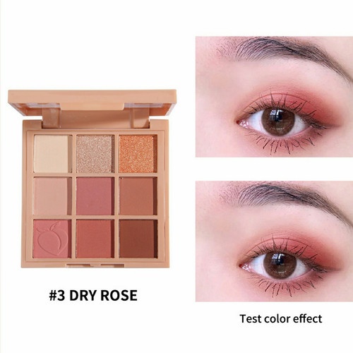 SANIYE 9 Warna Eyeshadow Nude Palette E0924