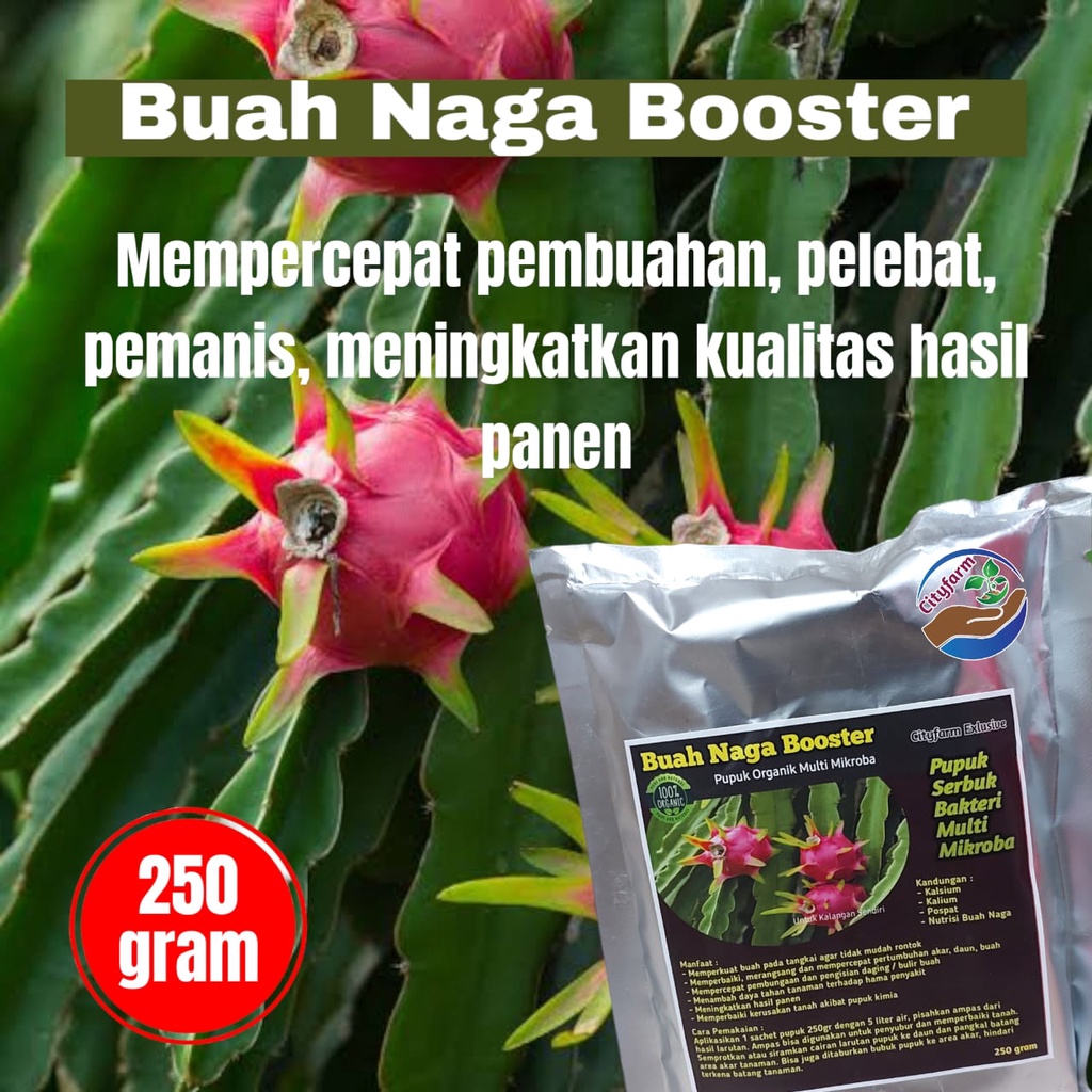 Pupuk Organik Booster Buah Naga Pelebat Buah Super 250gr