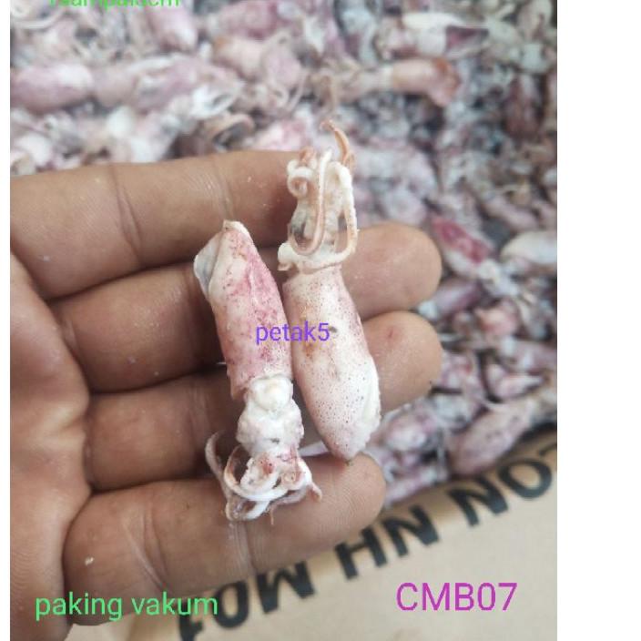

➸ Cumi asin beby 1kg/ cumi asin baby/cumi asin rebus/cumi asin kecil ♟