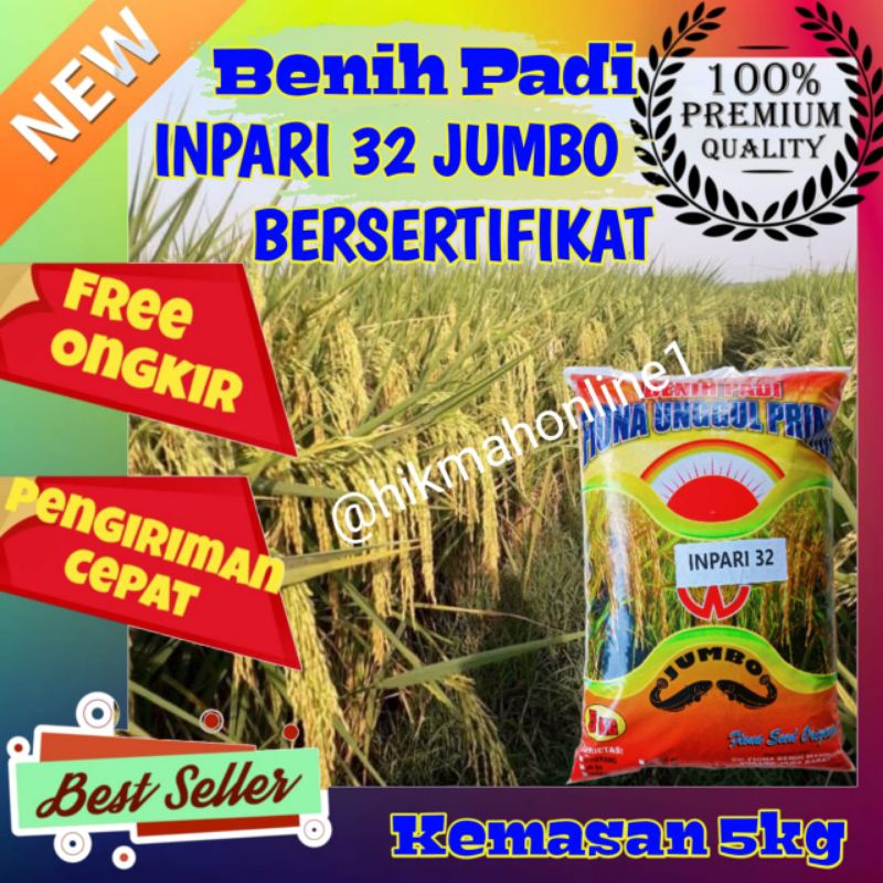 Benih padi Inpari 32 Jumbo Bersertifikat Label ungu kemasan 5kg