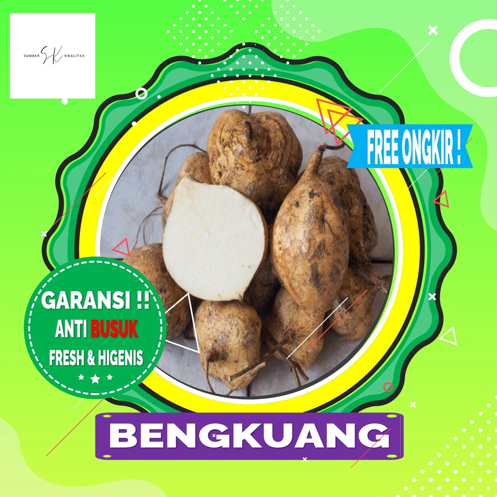 

Sumber Kwalitas - Bengkuang 500 gram