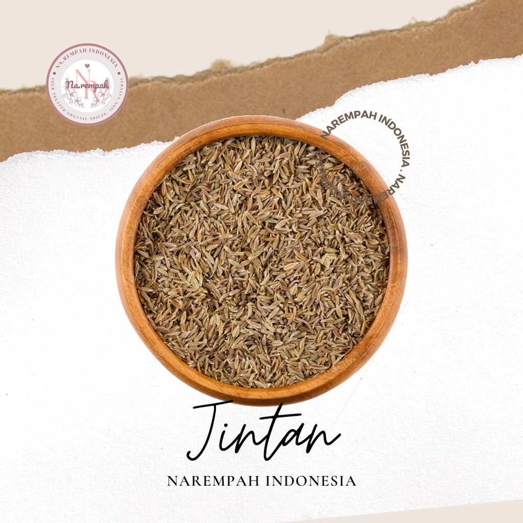 

Jintan Caraway Asli 100gr
