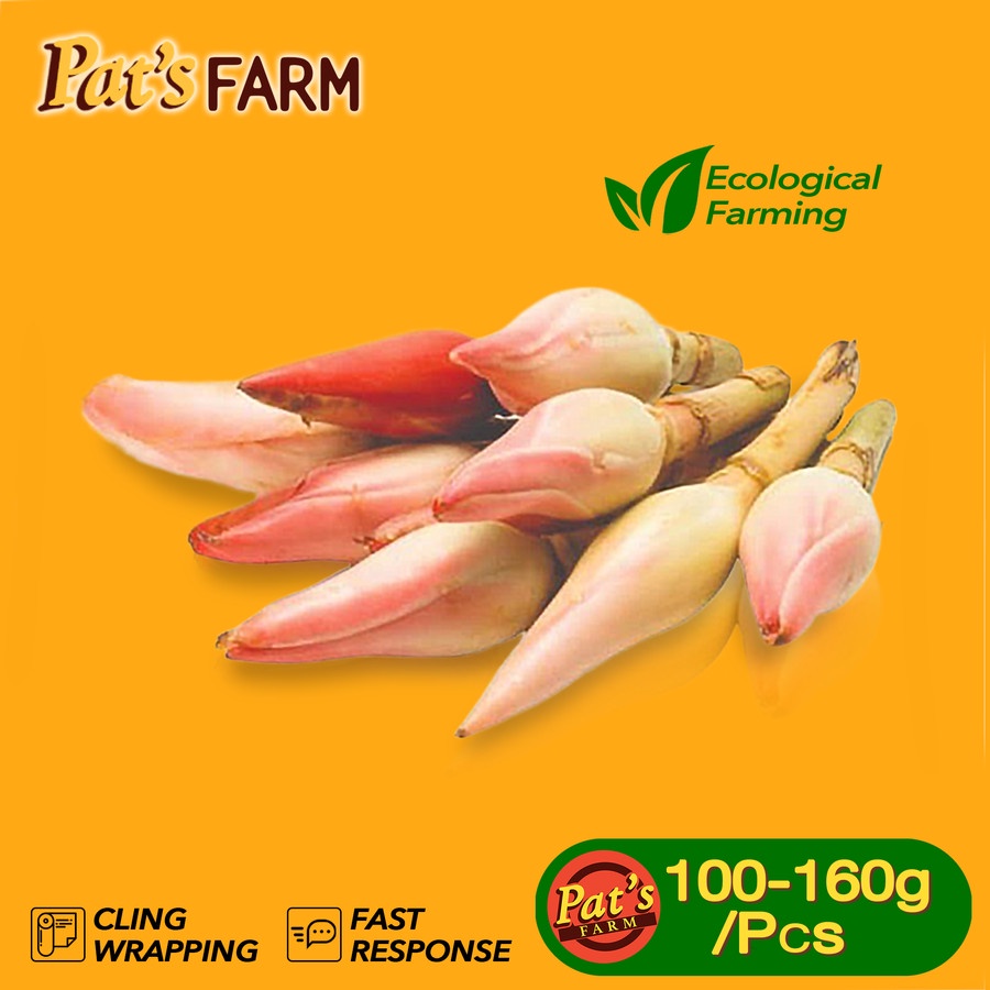 

Kecombrang/ Bunga Kecombrang/ Honje