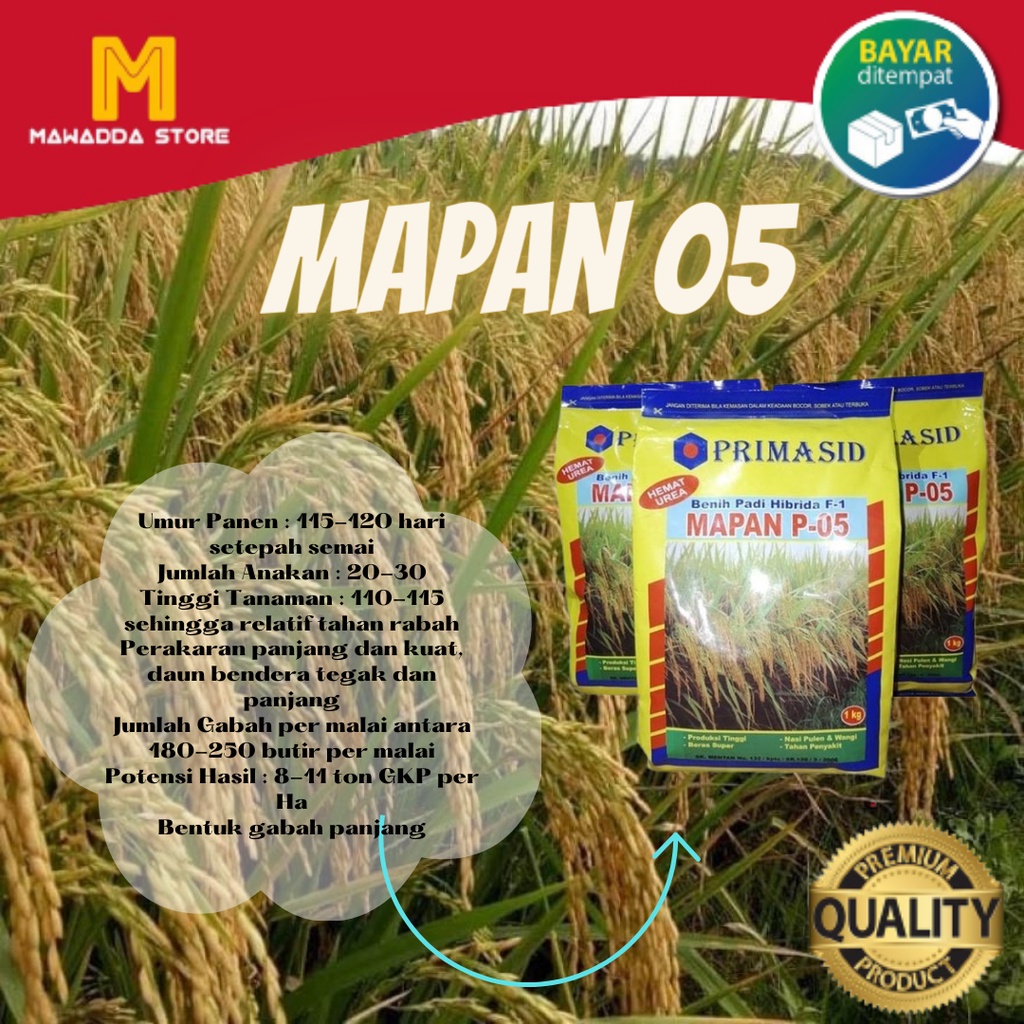 Benih Padi Mapan 05 Bibit Unggul 1KG