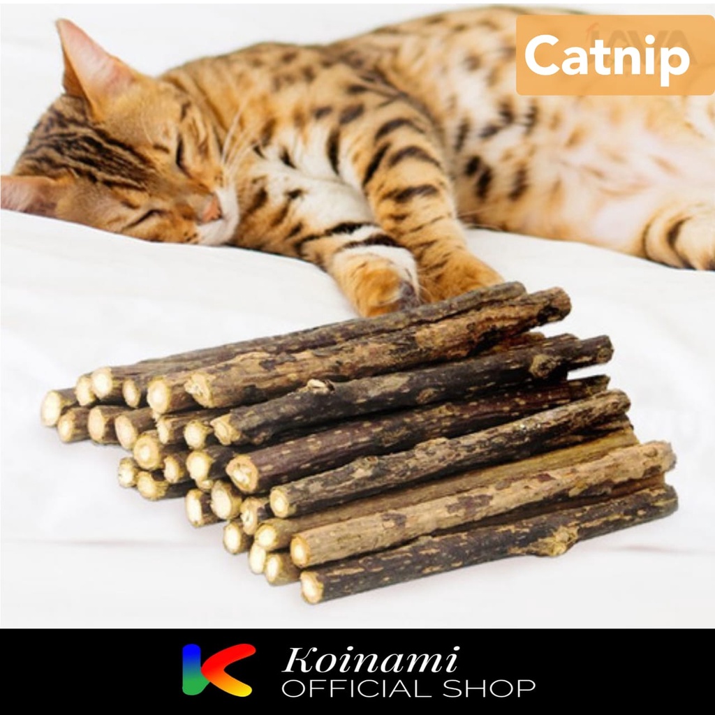 Catnip stik isi 5 batang /  catnip kucing