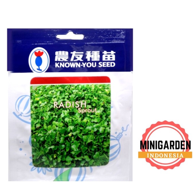 BENIH MICROGREEN RADISH SPROUT 10 GRAM bibit biji microgreen known you seed