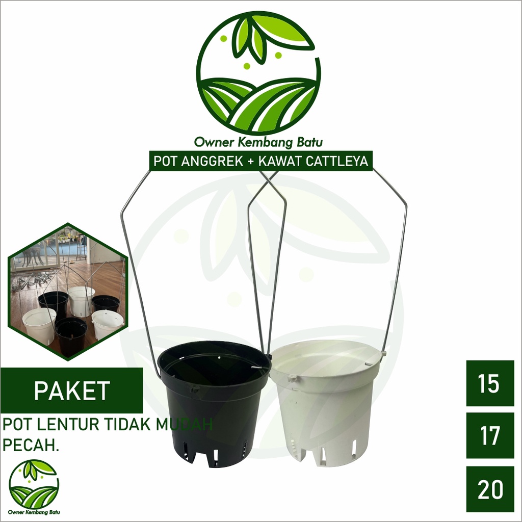 Paket Pot Anggrek Cattleya 17 + Kawat Anggrek Cattleya Ukuran Sedang