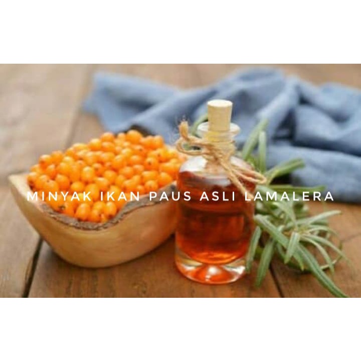 Minyak Ikan Paus Bagian Hati Ikan Paus FISH OIL SUPER OMEGA 3 Ikan Paus Asli Lamalera