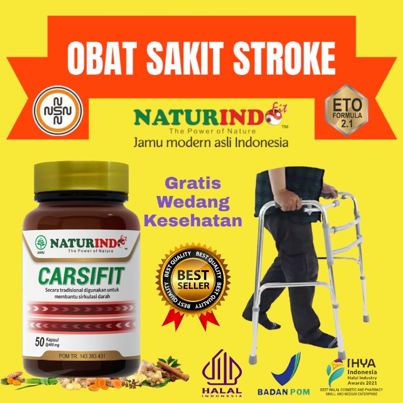 Obat Sakit Stroke Penyumbatan Pembuluh Darah Obat Darah kotor
