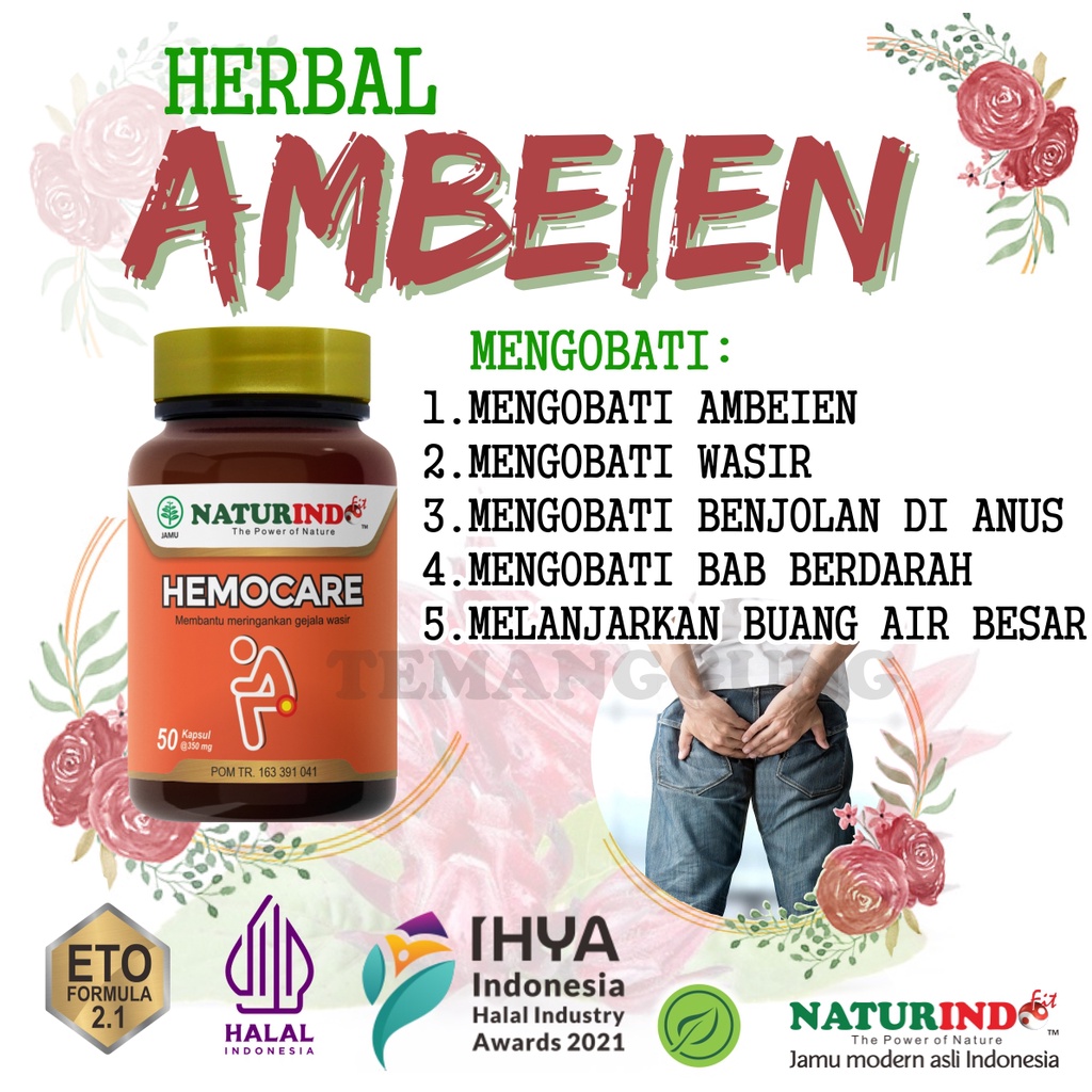 Obat Wasir Ambeien Ambeyen cina paling ampuh Luar Dalam Hemoroid Stadium 1 2 3 4 Herbal hemocare nat