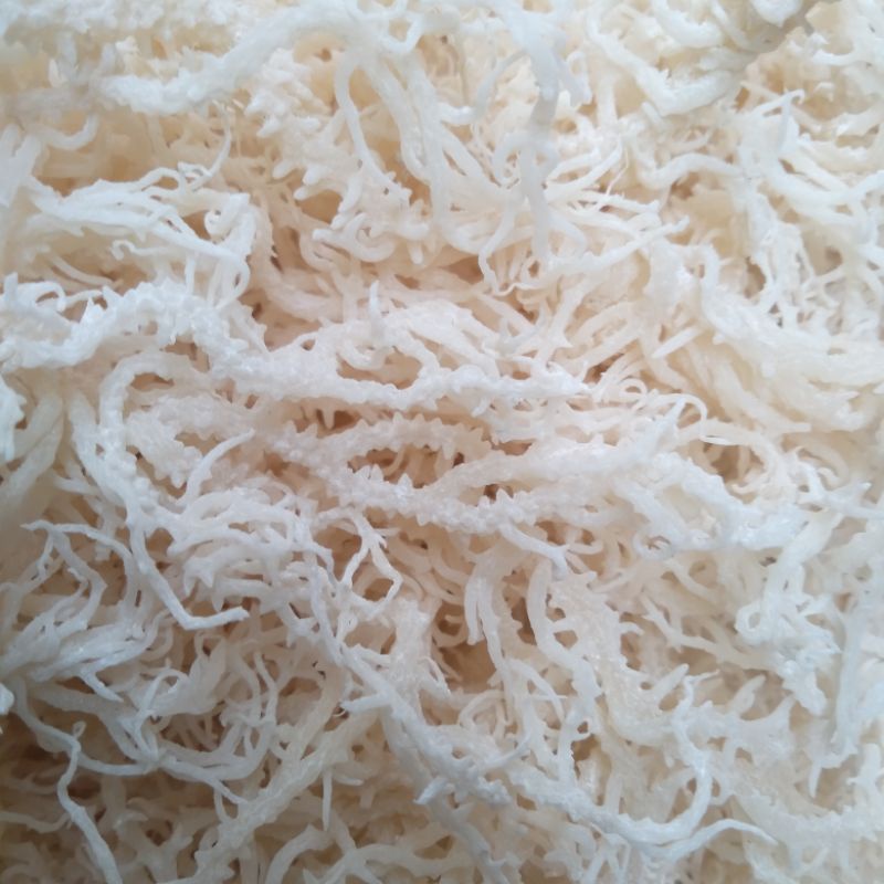 Rumput laut kering 1kg rumput laut untuk sup
